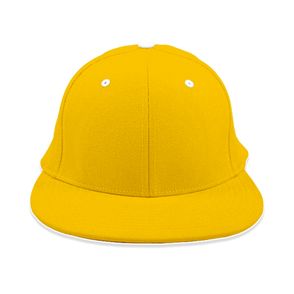 Flexfit Pro-Performance Flat Bill Hat