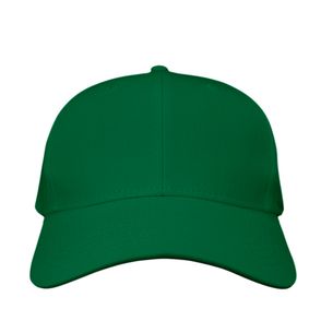 Big Accessories 6 Panel Structured Twill Cap