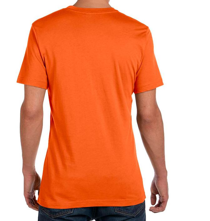 Canvas 3001C (49) - Back view