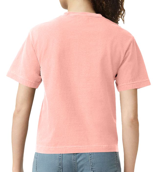 Comfort Colors 3023CL (15) - Back view
