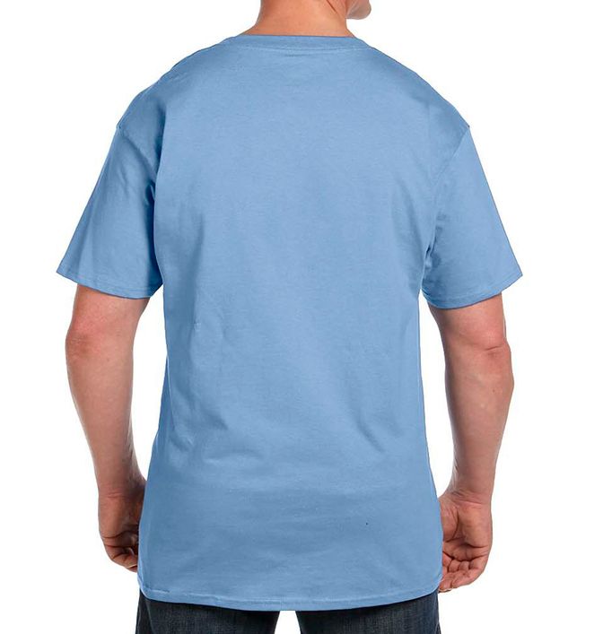 Hanes 5190P (08) - Back view