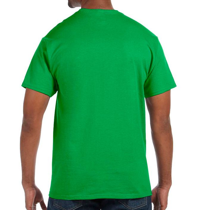 Hanes 5250T (89) - Back view