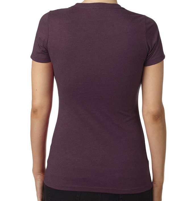 Next Level 6610 (71) - Back view