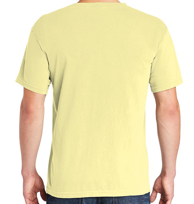 Comfort Colors C1717 Adult 6.1 oz. T-Shirt, S
