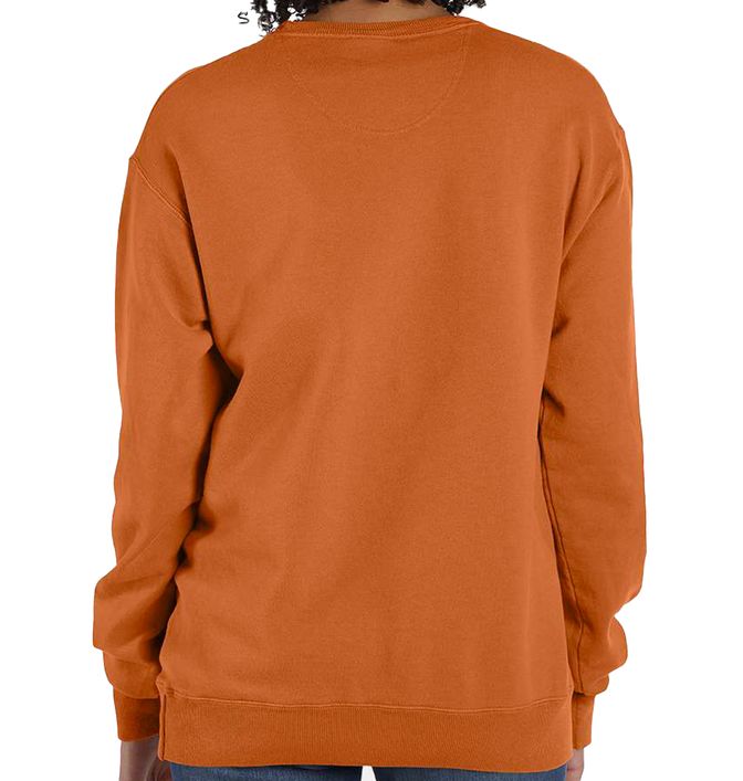 ComfortWash by Hanes GDH400 (33) - Back view