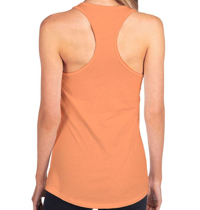 Next Level Apparel N1533 (38) - Back view