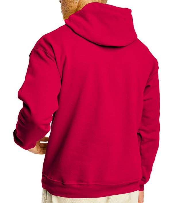 Hanes P170 (006) - Back view