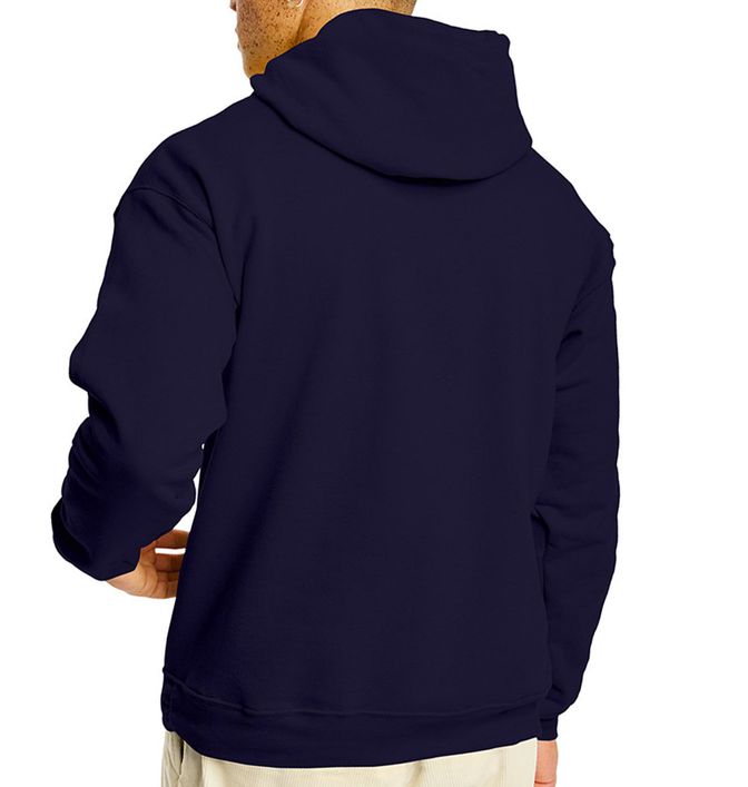 Hanes P170 (03) - Back view