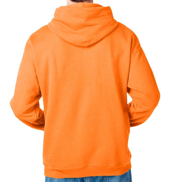 Hanes P170 (13) - Back view