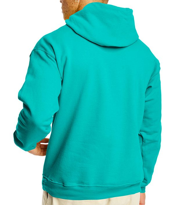 Hanes P170 (19) - Back view